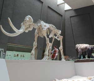 Klänge in Kunstharz